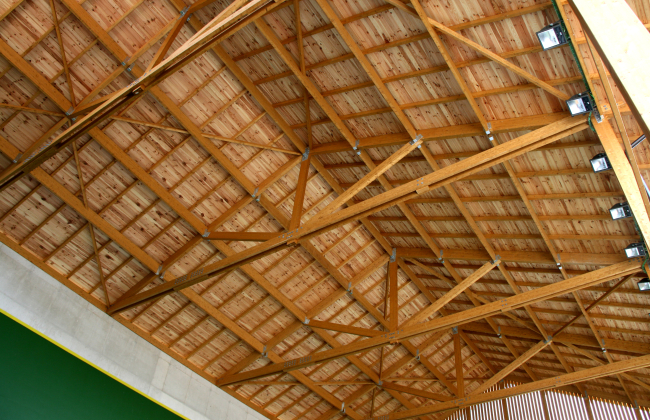 Fronton wood roof construction in Biskarreta - Guerendiain (Navarre).